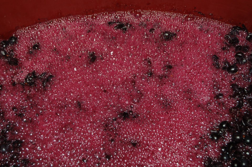 como hacer vino casero
